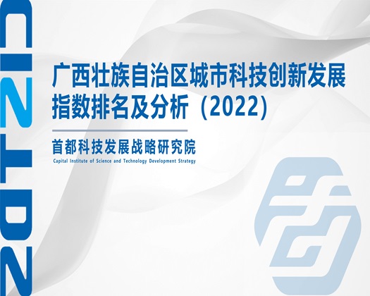 阴插穴色视频【成果发布】广西壮族自治区城市科技创新发展指数排名及分析（2022）